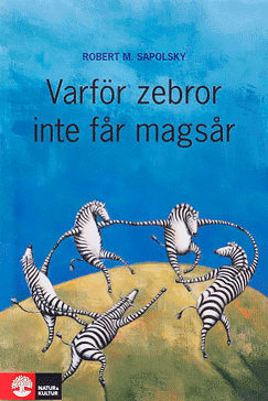 Varför zebror inte får magsår